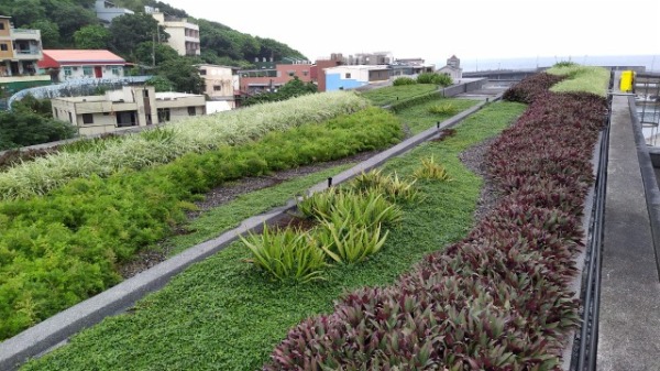 綠屋頂案例