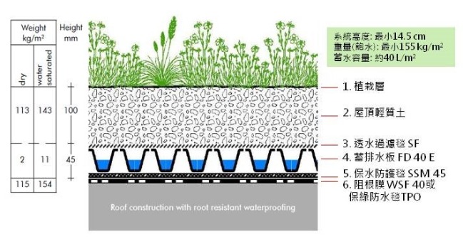 薄層綠化系統剖面pic