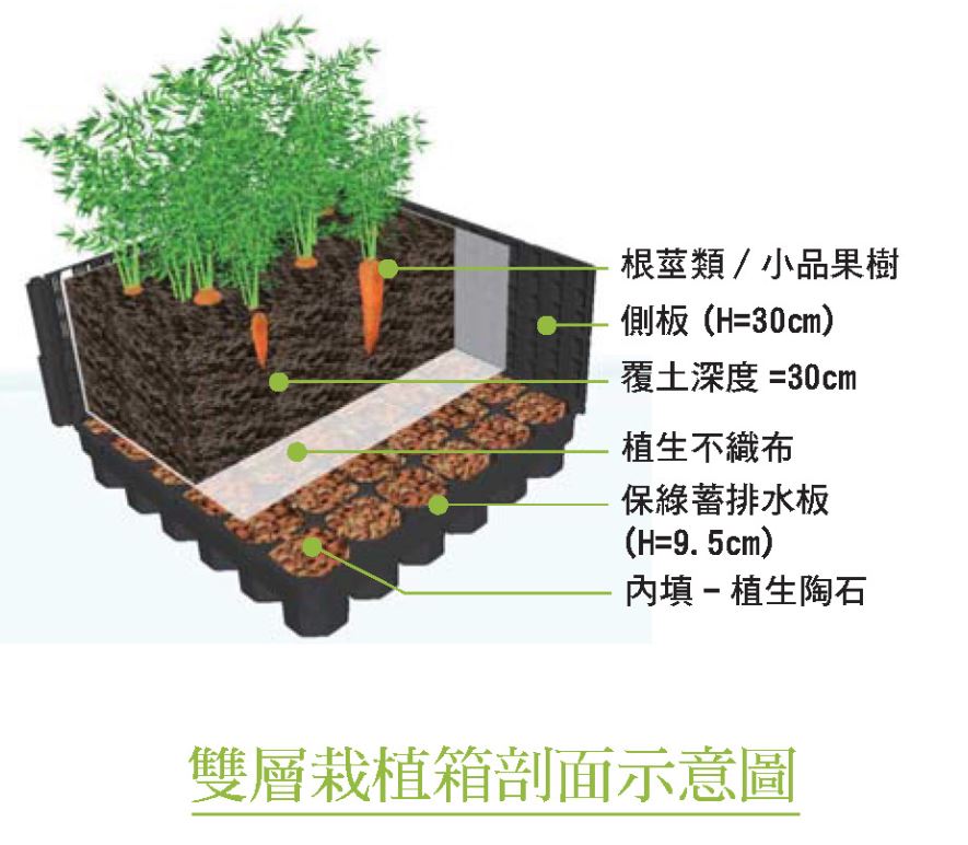 保綠植栽箱(雙層)剖面