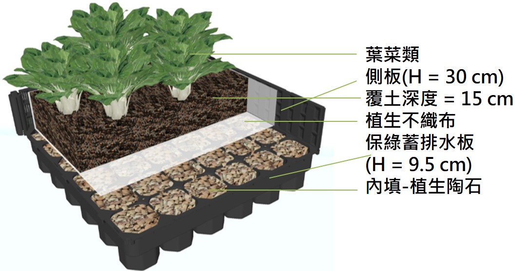 保綠植栽箱剖面