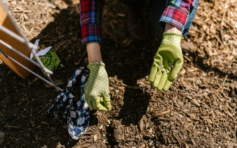 Mulch