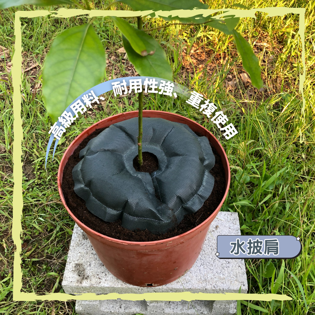 綠達人_水披肩
