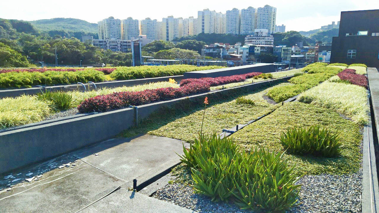 海科館綠屋頂案例