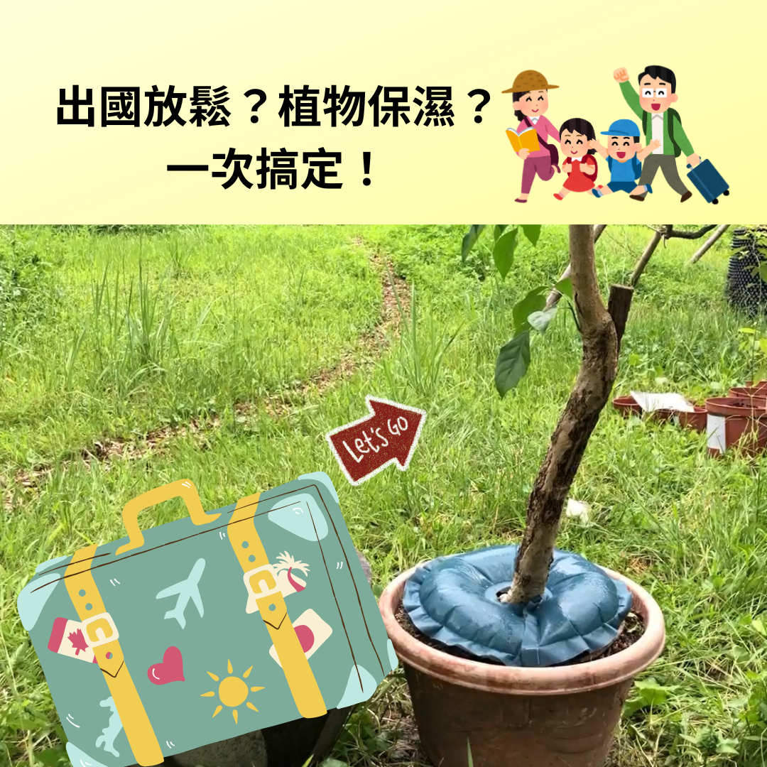 綠達人_水披肩