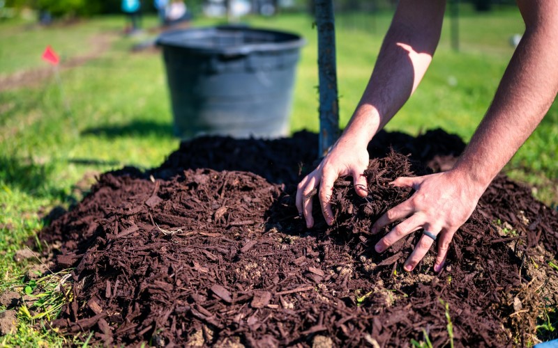 Mulch