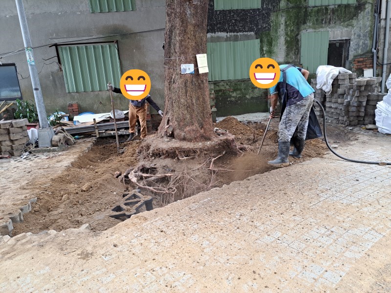 綠達人_結構模組