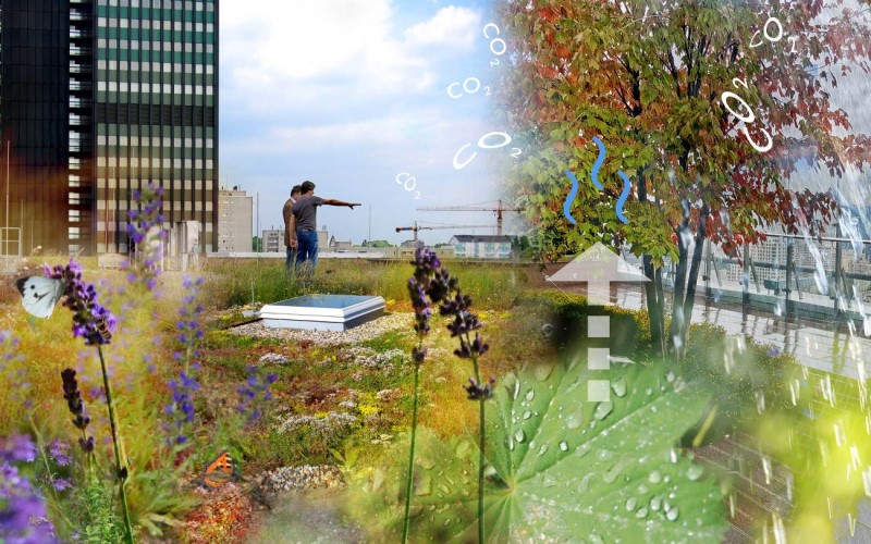 Stormwater%20retention