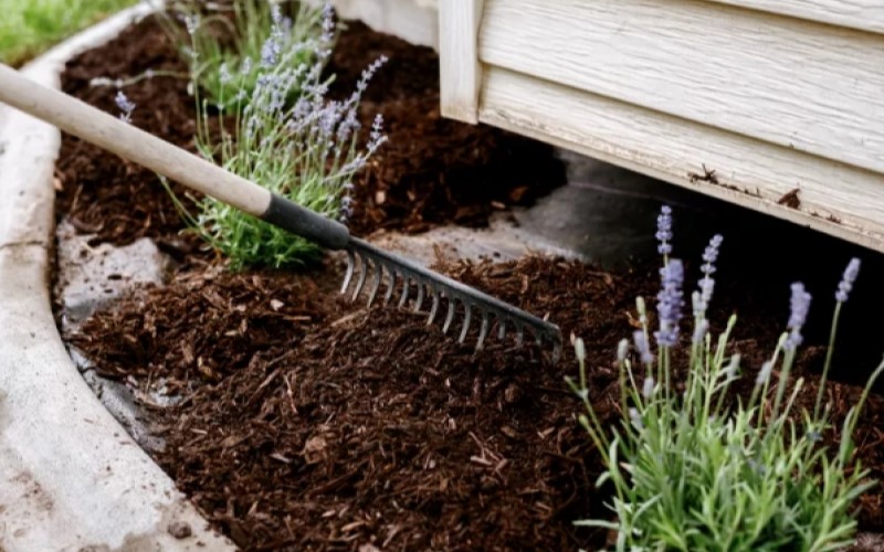 Mulch
