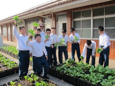 台南瀛海中學屋頂菜園照片