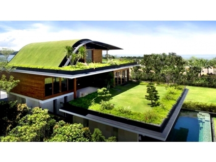 Greenroof