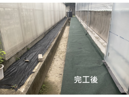 白茅防草絨