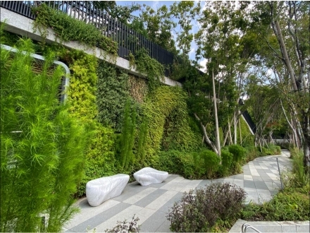 立體綠化啟動有感降溫城市